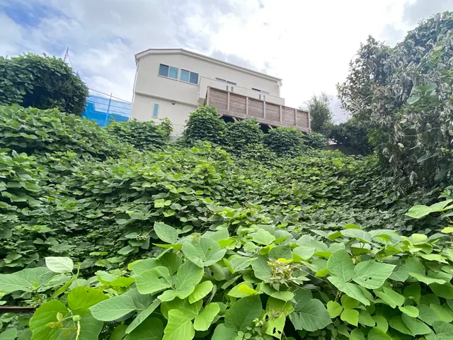 お庭の事なら何でも「サーフガーデン」にご相談下さい。私が責任を持って伺います。サービスの画像