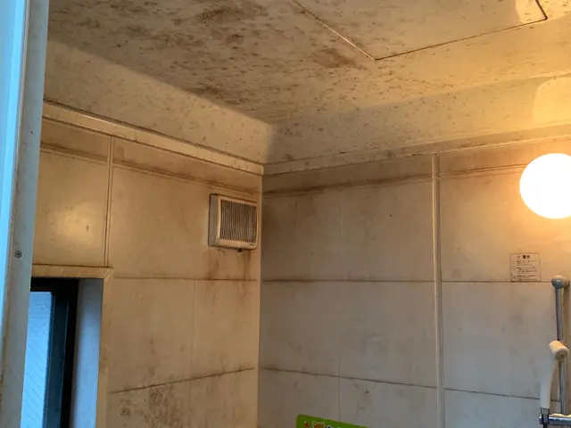 【セット割引有り】2人でお伺い作業時間短縮◎4つの目で細かい汚れ見落としません！サービスの画像