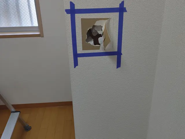 壁紙張替え/猫対策/傷穴補修/壁紙ペイント/アクセントクロス/剥がせる壁紙張り/サービスの画像