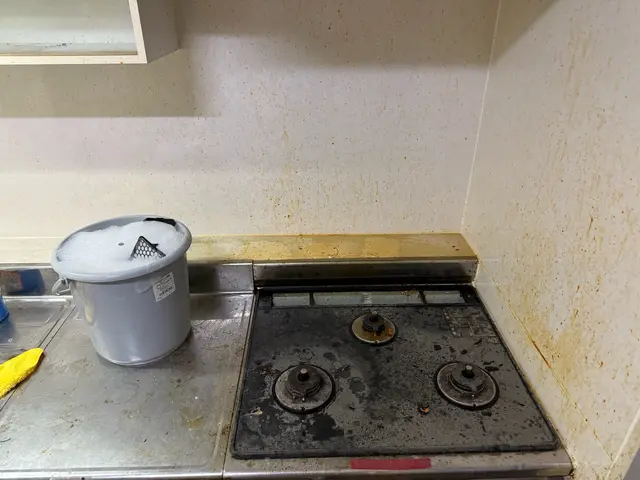 元プロキックボクサーの清掃！作業中のセキュリティー面はご安心下さいませ。サービスの画像