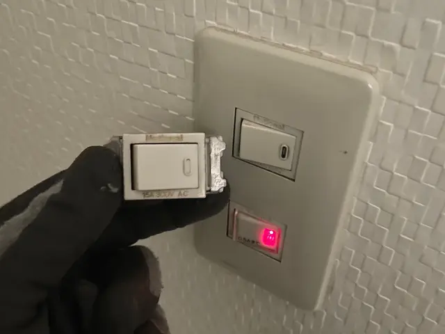 コンセント・スイッチの交換はお任せください！　お写真いただければお見積り可能ですサービスの画像