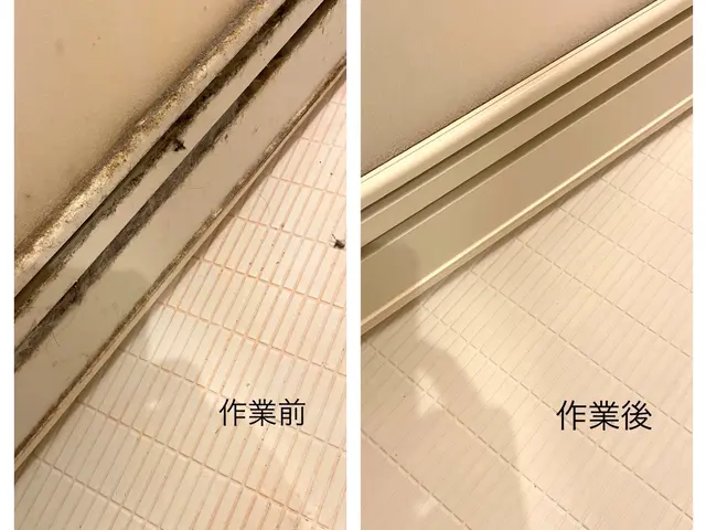 国家資格ハウスクリーニング技能士の私が伺います！サービスの画像