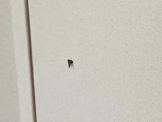 壁紙補修はお任せください！サービスの画像