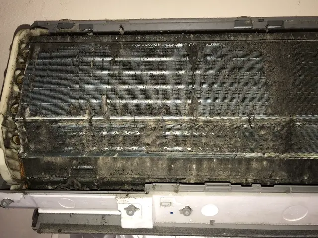 仕上り保証有☆消臭・抗菌スプレー無料☆カード・QRコード決済OK☆非喫煙者が訪問サービスの画像