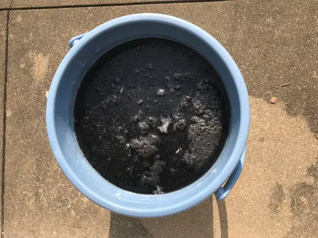 仕上り保証有☆消臭・抗菌スプレー無料☆カード・QRコード決済OK☆非喫煙者が訪問サービスの画像