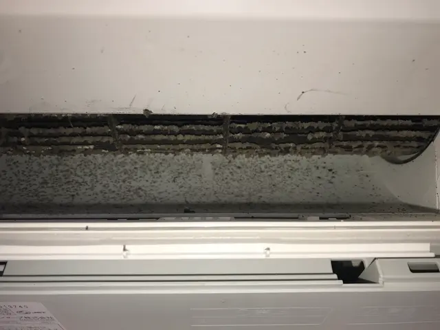 仕上り保証有☆消臭・抗菌スプレー無料☆カード・QRコード決済OK☆非喫煙者が訪問サービスの画像