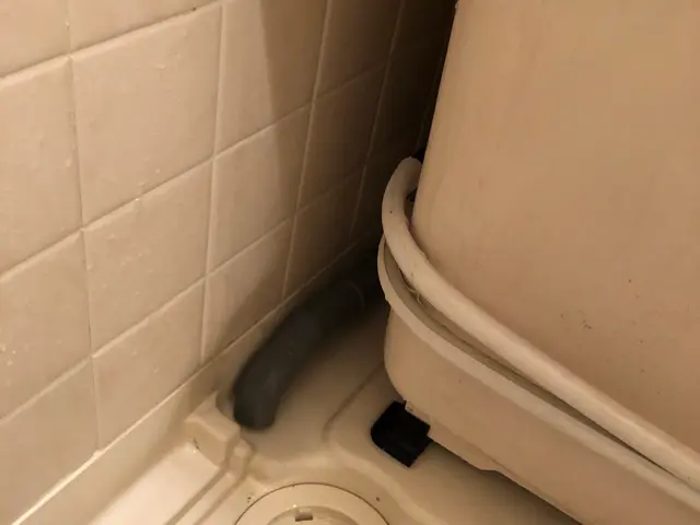 【プロが対応！水回り5点徹底洗浄】鏡研磨◎ 換気扇分解洗浄◎ PayPay◎サービスの画像