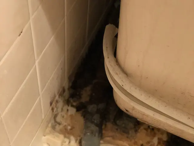 【プロが対応！水回り5点徹底洗浄】鏡研磨◎ 換気扇分解洗浄◎ PayPay◎サービスの画像