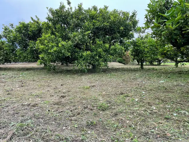 【業歴20年の実績】年中無休！迅速ていねいに仕上げます！仕上がり保証あり！サービスの画像