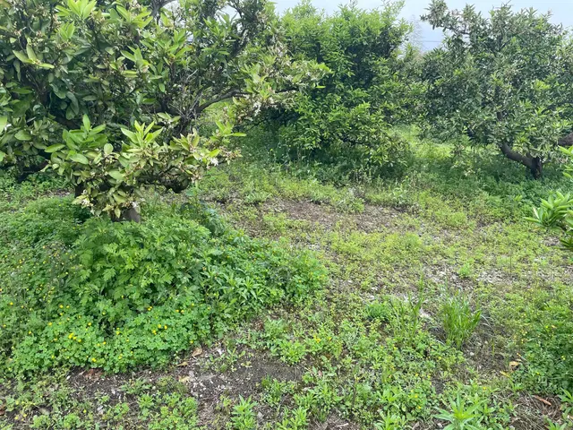 【業歴20年の実績】年中無休！迅速ていねいに仕上げます！仕上がり保証あり！サービスの画像