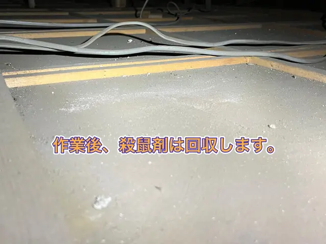 【ネズミ駆除実績1万件以上】大手消毒会社10年在籍／即日対応も可／見積り調査無料サービスの画像