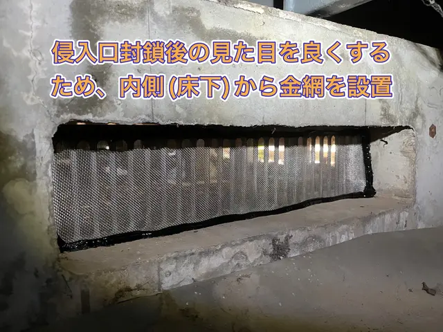 【ネズミ駆除実績1万件以上】大手消毒会社10年在籍／即日対応も可／見積り調査無料サービスの画像