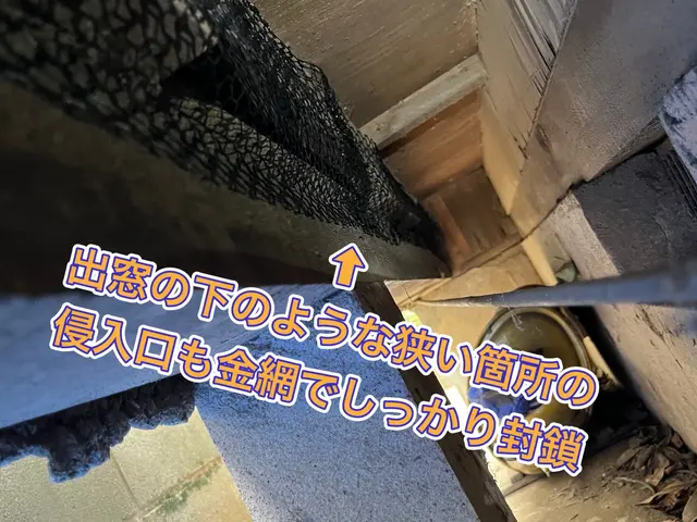 【ネズミ駆除実績1万件以上】大手消毒会社10年在籍／即日対応も可／見積り調査無料サービスの画像