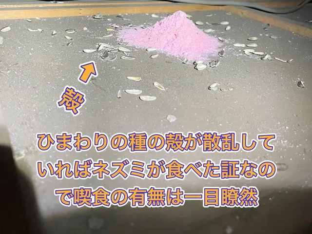 【ネズミ駆除実績1万件以上】大手消毒会社10年在籍／即日対応も可／見積り調査無料サービスの画像