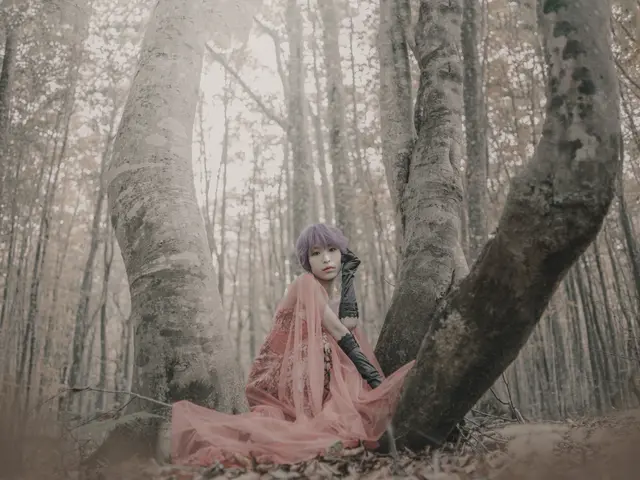 プロフィール写真、個人事業主様、インフルエンサー様、ご希望通りの自由な撮影。サービスの画像