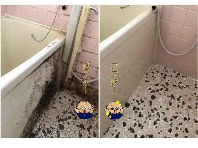 カビ・油汚れをキレイにリセット！！ご実家へのプレゼントに人気のセット！サービスの画像