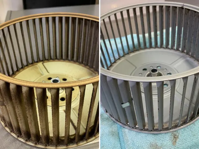 カビ・油汚れをキレイにリセット！！ご実家へのプレゼントに人気のセット！サービスの画像