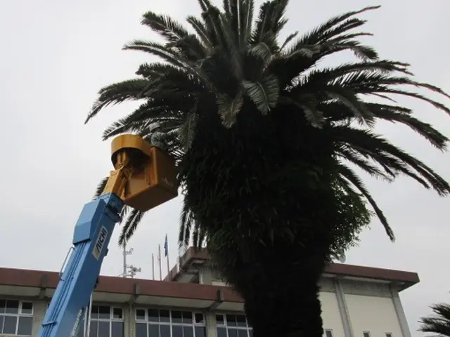 【業歴15年の経験と実績】女性スタッフ同行可能・アフターフォローもばっちり！サービスの画像