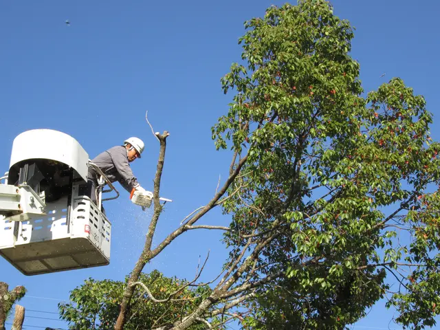 【業歴15年の経験と実績】女性スタッフ同行可能・アフターフォローもばっちり！サービスの画像