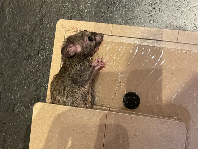 お客様のお力になります！経験と知識を活かして迅速丁寧に作業いたします！サービスの画像