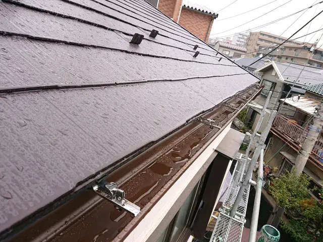 【雹災・雪災・火災保険対応】八王子多摩・相模・横浜〈梯子のプロ〉サービスの画像