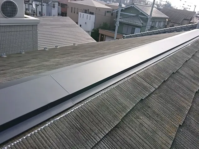 【雹災・雪災・火災保険対応】八王子多摩・相模・横浜〈梯子のプロ〉サービスの画像