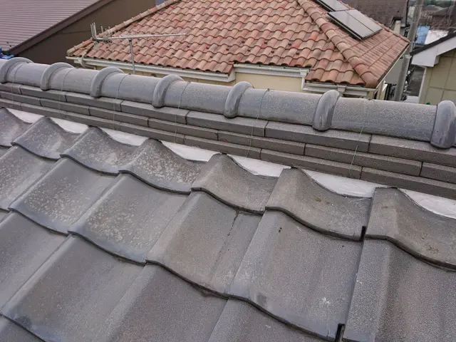 【雹災・雪災・火災保険対応】八王子多摩・相模・横浜〈梯子のプロ〉サービスの画像