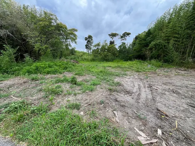 プロの技術でご満足いただけるように心を込めて作業いたしますサービスの画像