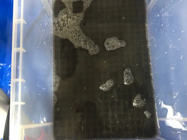 【今だけ破格】初めて大歓迎！今年こそ、家族と美味しい空気を吸いませんか？サービスの画像