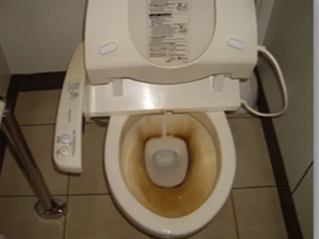 《国家資格》技能士・ダスキン経験２３年の実績・安心して依頼して下さい。サービスの画像