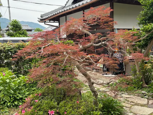 【夫婦で伺います！】お客様に寄り添ったサービスサービスの画像