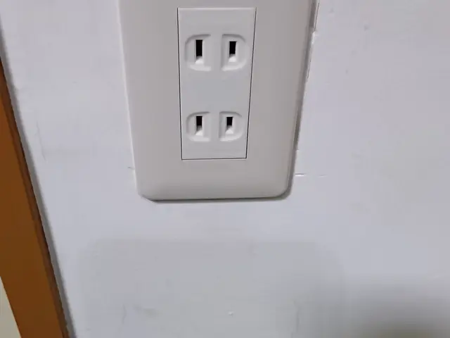 【最短3/25日～】業界歴30年のベテラン電気屋さん♪非喫煙者が伺います！サービスの画像