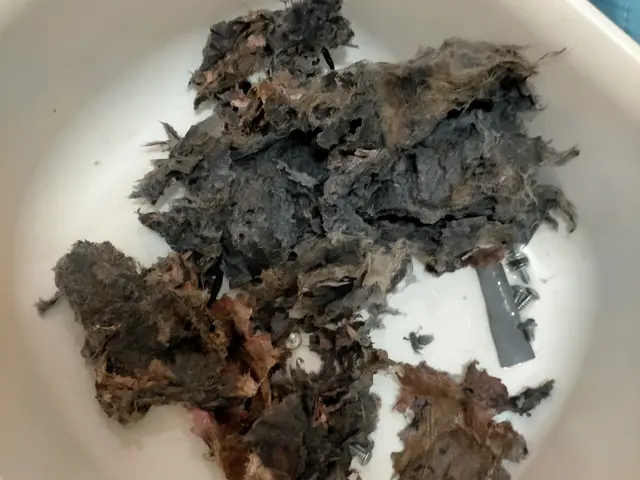 洗濯機の修理  給水、排水本体内部から水漏れなど、乾燥が弱い、内部に異物を落すサービスの画像