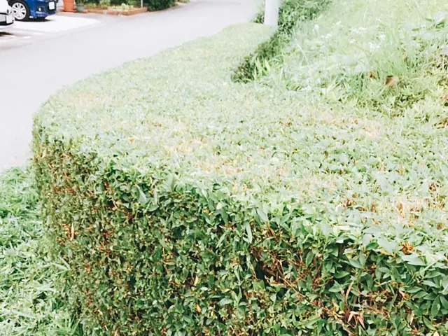 【業歴14年の実績】大手業務経験豊富◎当店の職人が迅速丁寧に対応いたします！サービスの画像