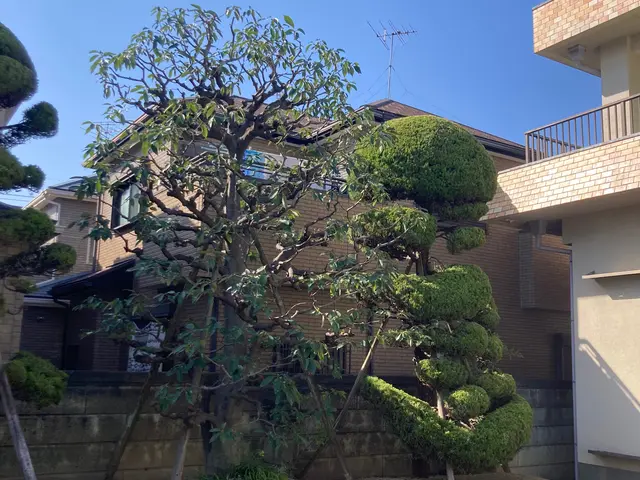 【年中無休】職人歴20年以上！駐車代お店負担！安心の損害保険加入店サービスの画像