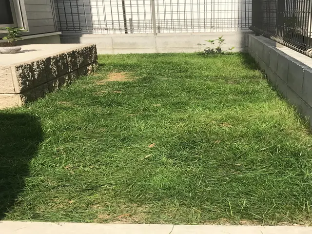 草刈り機械、芝刈り機も対応しております。サービスの画像