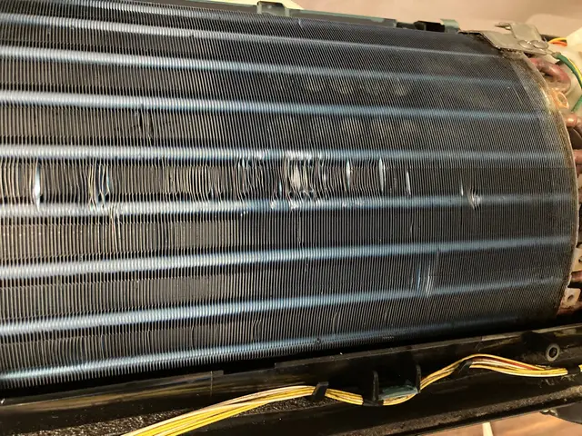 《ノーマルエアコンのみ》小さなお子様やペットにも安心の植物性エコ洗剤を使用☆サービスの画像