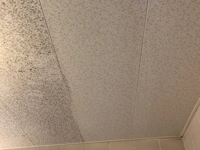 ラジオで紹介！11月予約受付中！サービスの画像