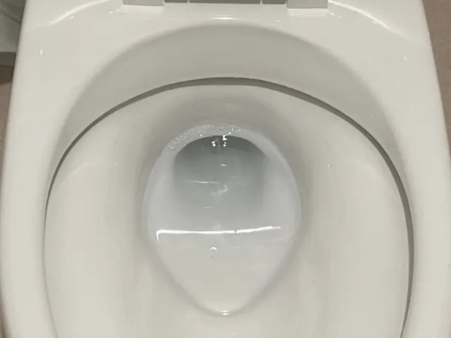 施工実績1000件以上【水まわりクリーニング専門】安心・安全・丁寧な仕上がりサービスの画像