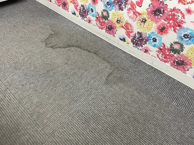 カーペットの貼り替えサービスの画像