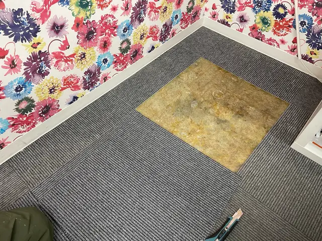 カーペットの貼り替えサービスの画像