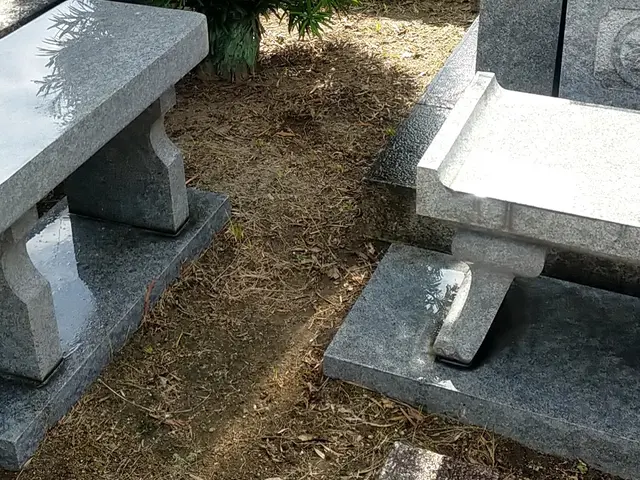 年末年始キャンペーン期間中です。￥17000→￥12000サービスの画像