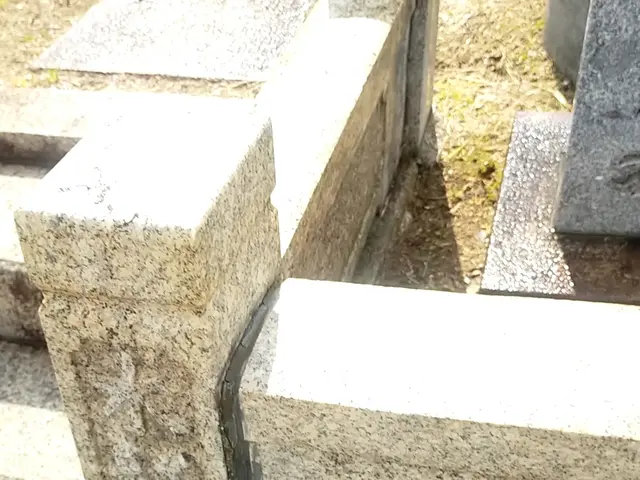 年末年始キャンペーン期間中です。￥17000→￥12000サービスの画像