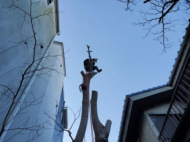 【親切・丁寧】作業外注一切なし！お庭のことはお任せください◎サービスの画像