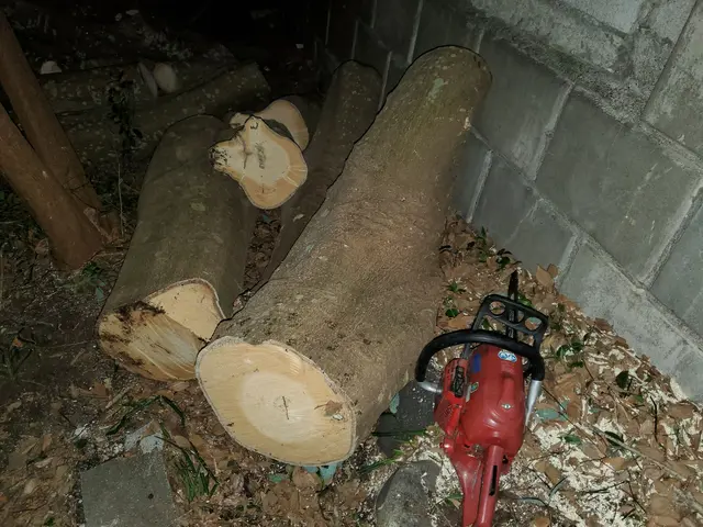 【親切・丁寧】作業外注一切なし！お庭のことはお任せください◎サービスの画像