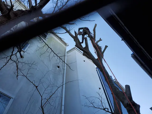 【親切・丁寧】作業外注一切なし！お庭のことはお任せください◎サービスの画像