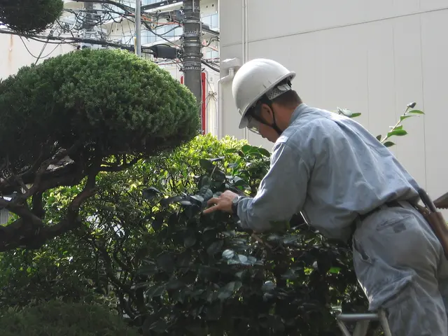 【安全でスッキリしたお庭に】職人歴23年、１級造園技能士の私がお伺いします。！サービスの画像