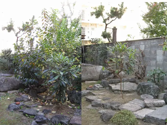 【安全でスッキリしたお庭に】職人歴23年、１級造園技能士の私がお伺いします。！サービスの画像