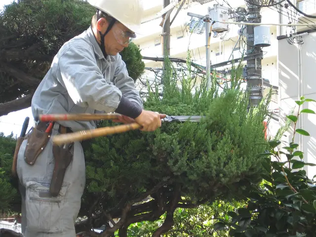 【安全でスッキリしたお庭に】職人歴23年、１級造園技能士の私がお伺いします。！サービスの画像