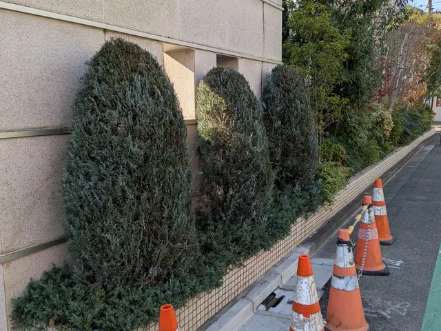 経験5年目〜27年目のSTAFFが、ご満足いただけるように心を込めて剪定します。サービスの画像